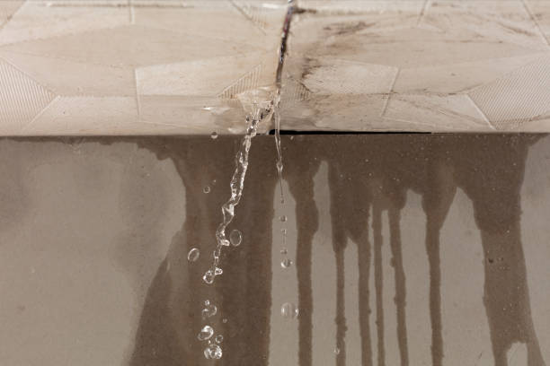 Professional Flood Damage Cleanup technician working in Dawson, AL